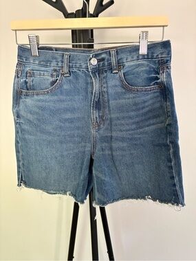 American Eagle Outfitters Distressed Medium Blue Denim Shorts